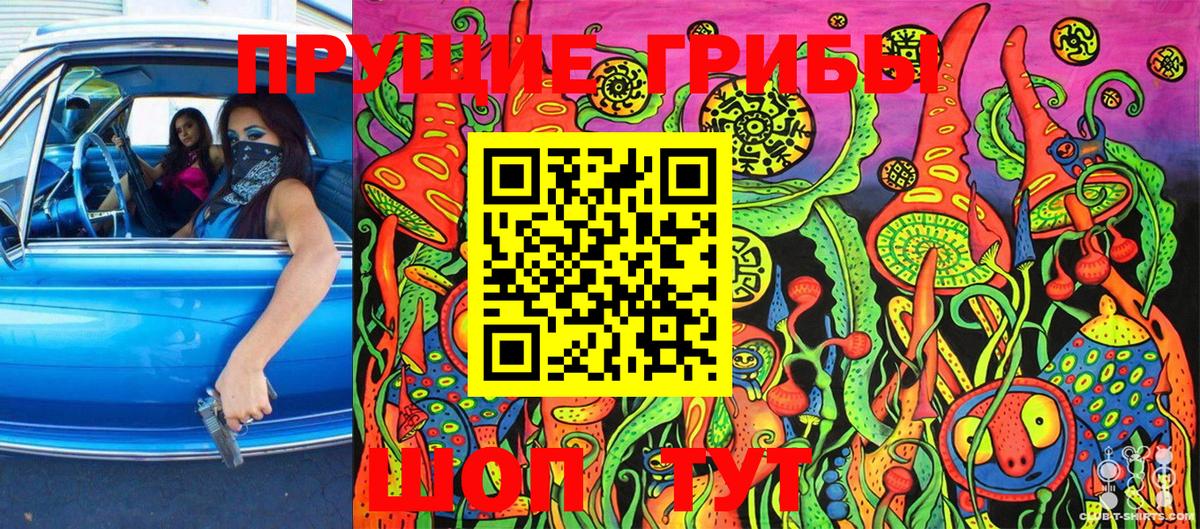 Псилоцибиновые грибы мухоморы Кунгур